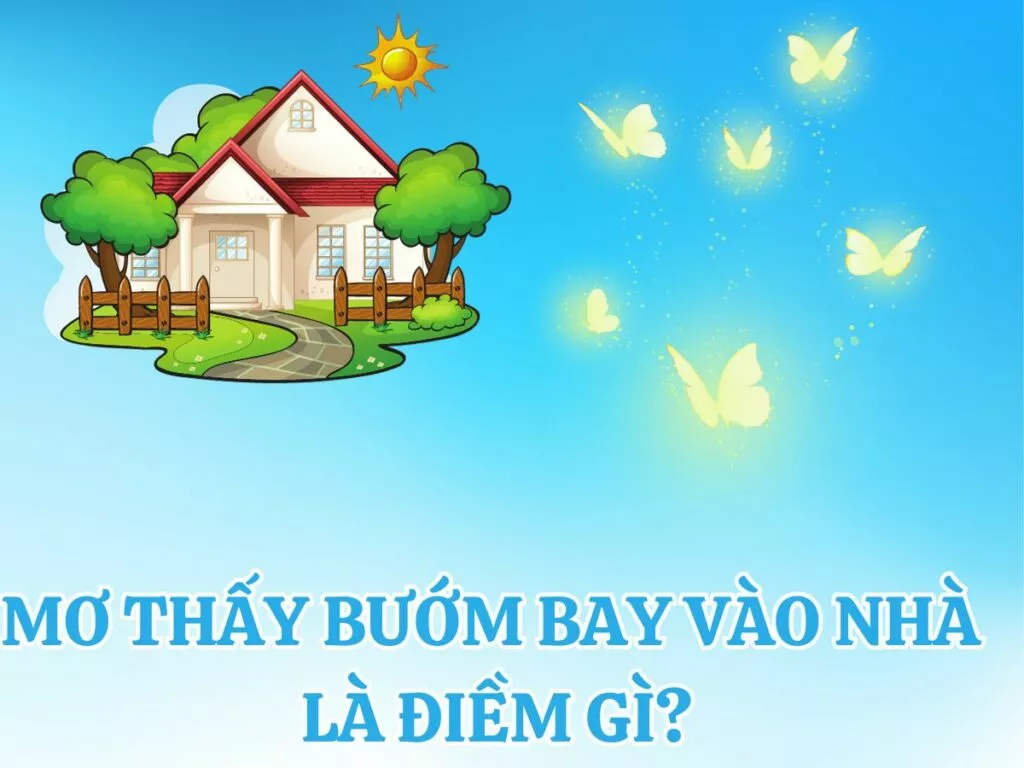 mơ thấy bướm bay vào nhà đánh số gì để may mắn? 10 giai ma giac mo thay buom bay vao nha
