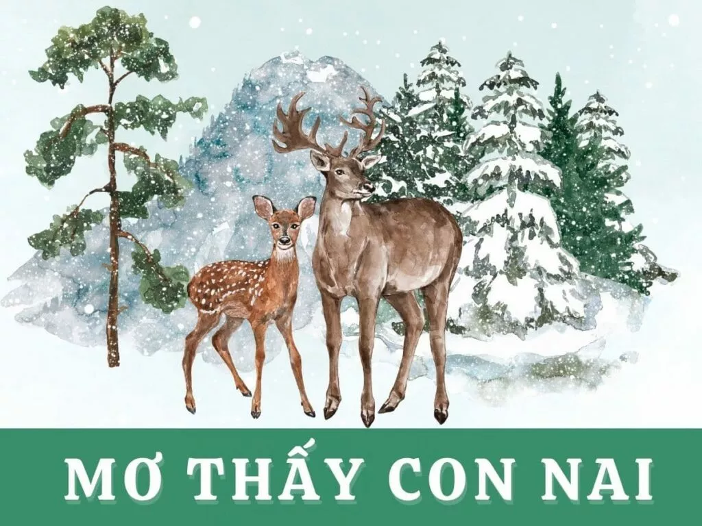 mơ thấy nai - ngủ mơ thấy nai đánh lô con gì? 15 mơ thấy nai