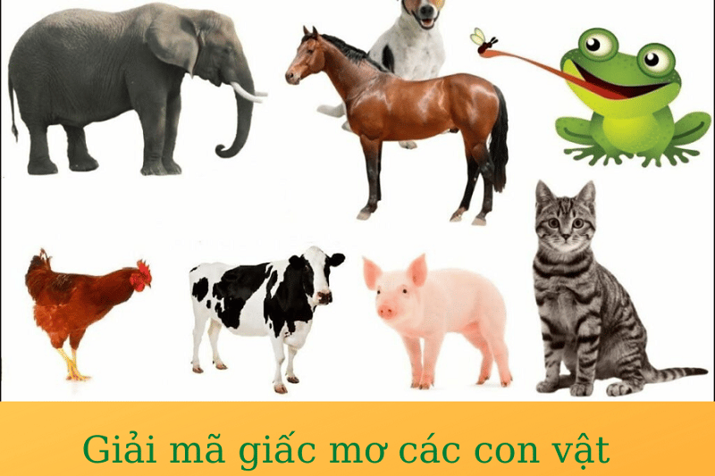 bí ẩn giấc mơ về con vật: tìm hiểu ý nghĩa đặc biệt và con số may mắn tương ứng 3 chiêm bao thấy con vật có điểm lành hay xấu