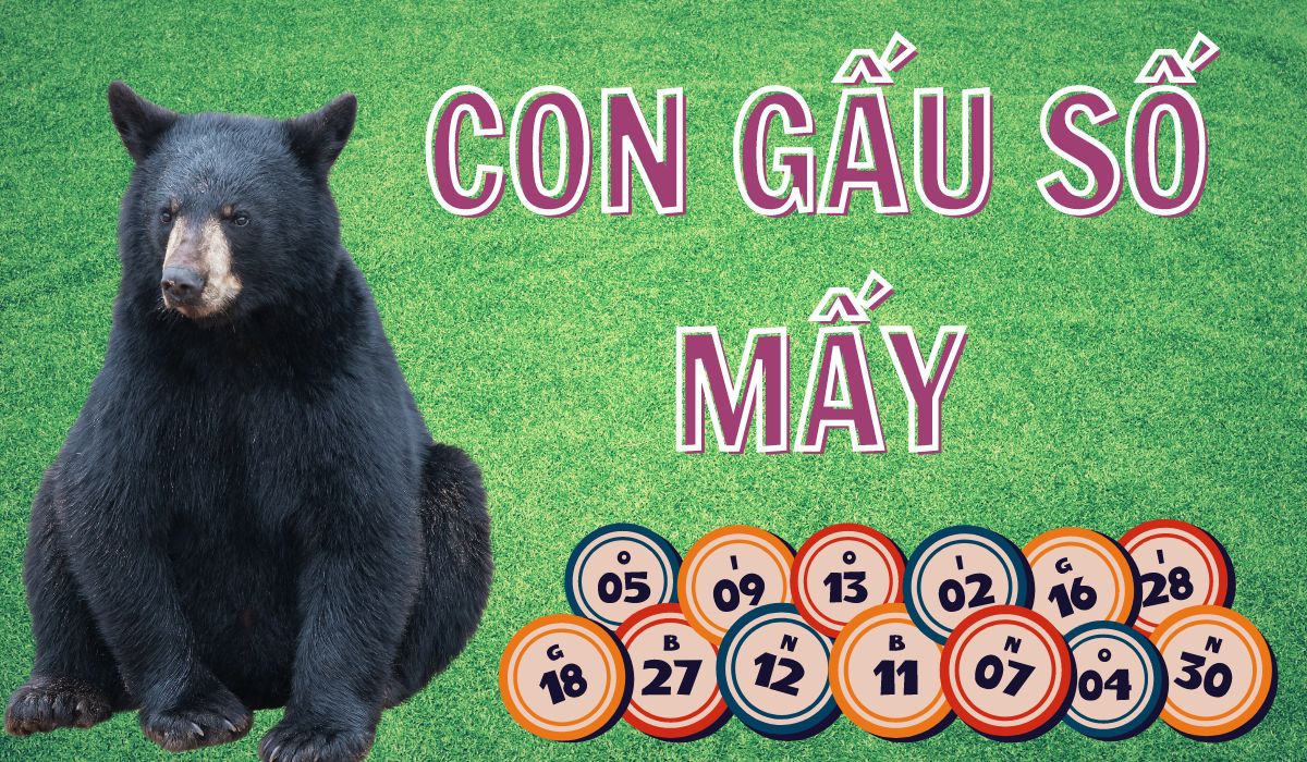 mơ thấy con gấu đánh đề con gì? giải mã giấc mơ thấy gấu 4 mơ thấy gấu đánh số gì