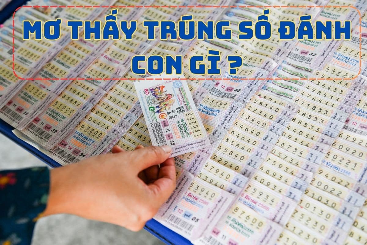 giải mã giấc mơ thấy trúng số? mơ trúng số đánh con gì? 3 mơ thấy trúng số đánh con gì