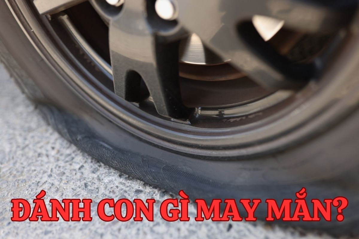 mơ xe bị thủng xăm đánh con gì trúng lớn? 3 mơ xe bị thủng xăm đánh con gì may mắn?