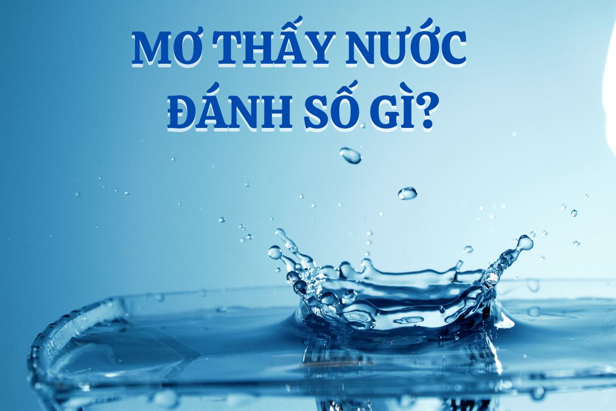 mơ thấy nước đánh con gì may mắn? 4 mơ thấy nước đánh số gì?
