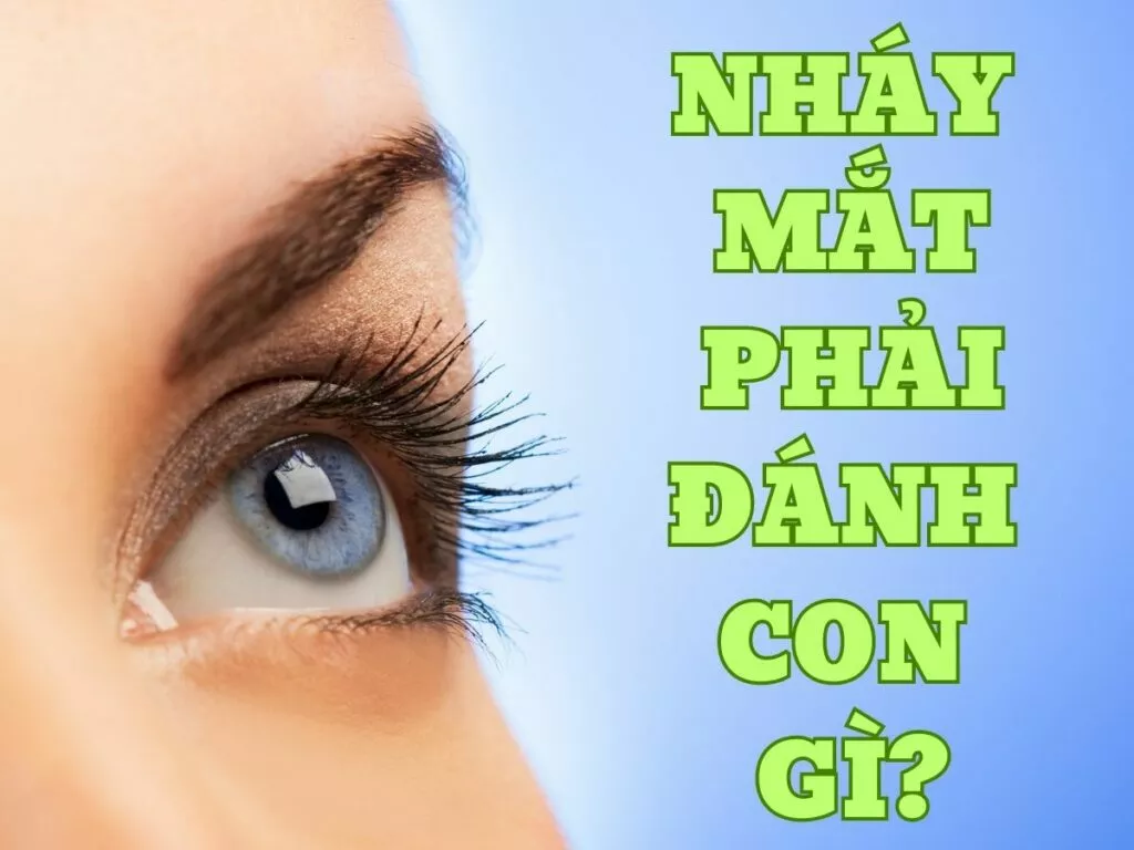 nháy mắt phải đánh con gì trúng lớn? điềm báo nháy mắt phải 16 nhay mat phai danh con gi