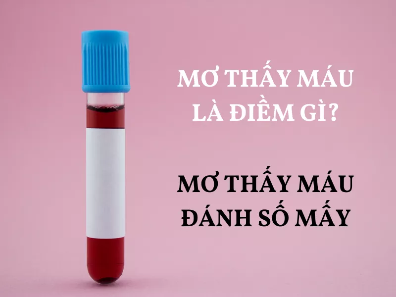 giải tỏa băn khoăn về giấc mơ máu: bạn mơ thấy máu đánh số mấy? 19 mo thay mau.png