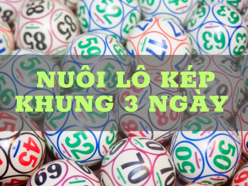 làm thế nào để nuôi lô kép khung 3 ngày hiệu quả? 36 nuoi lo kep khung 3 ngay 1