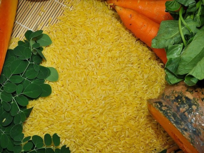 giải mã giấc mơ thấy gạo: tìm hiểu con số may mắn để đánh trong giấc mơ gạo 5 mơ thấy gạo vàng