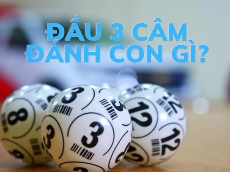 phân tích đầu 3 câm để xác định con số dễ trúng nhất trong ngày hôm sau 39 dau 3 cam danh con gi.jpg