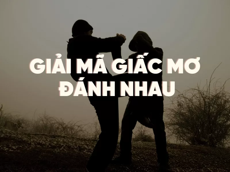 giải mã giấc mơ đánh nhau: tìm hiểu ý nghĩa và số may mắn trong giấc mơ đánh nhau 24 giai ma giac mo danh nhau.jpg