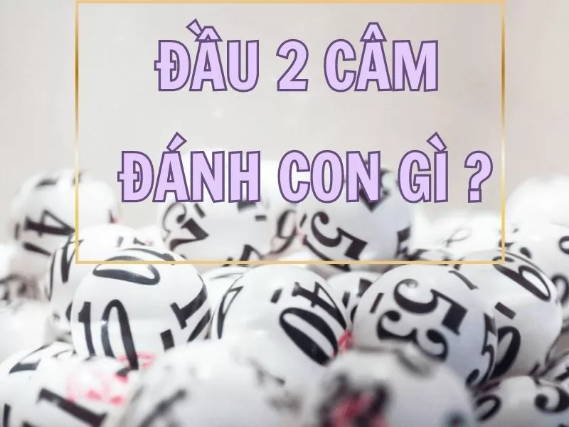 dự đoán lô đầu 2 câm đánh con gì dễ trúng nhất ? 26 dau 2 cam danh con gi.jpg