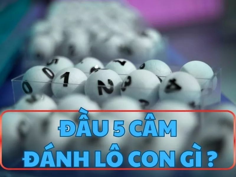 bật mí lô đầu 5 câm hôm sau đánh lô con gì? 13 dau 5 cam danh lo con gi.jpg